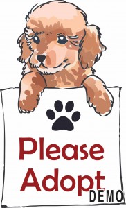 Pet Adoption Services