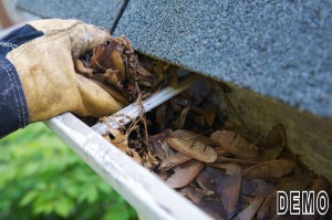 gutter cleaning services