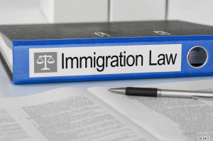 Immigration Law Services