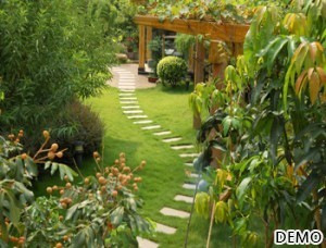 image-22_Landscaping