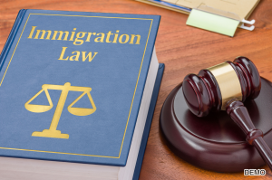Visa & Immigration Law copy