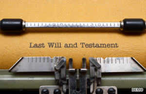 Will and Testament copy