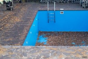 Pool Repair