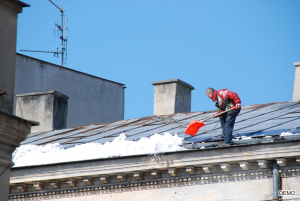 Roof Cleaning copy