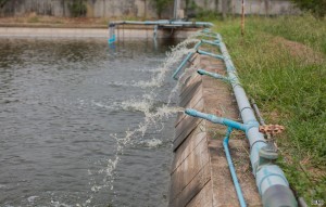 Draining Water Systems